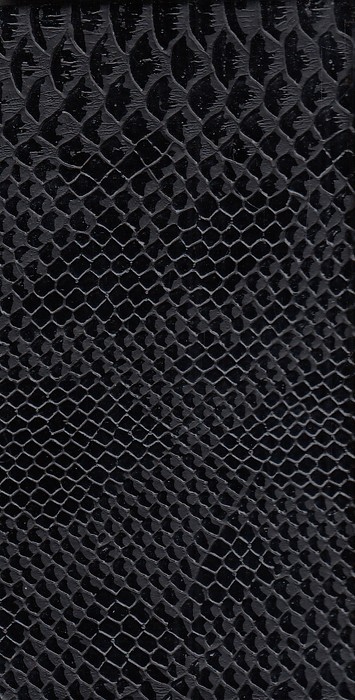 تقویم-(کیا)-پالتویی-پیتون-375