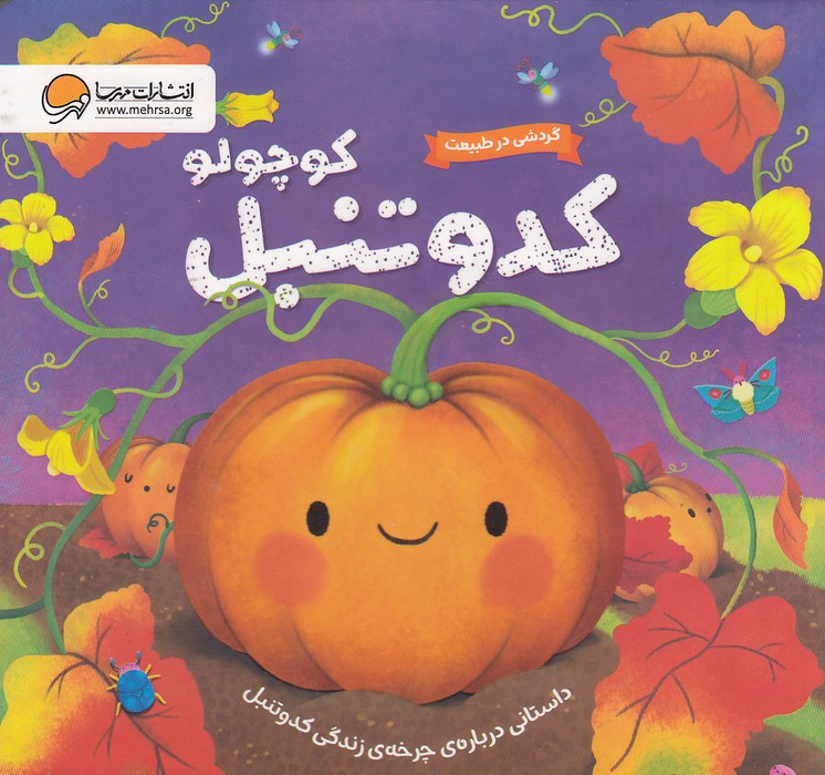 کدو-تنبل-کوچولو---گردشی-در-طبیعت-(مهرسا)-خشتی-سخت