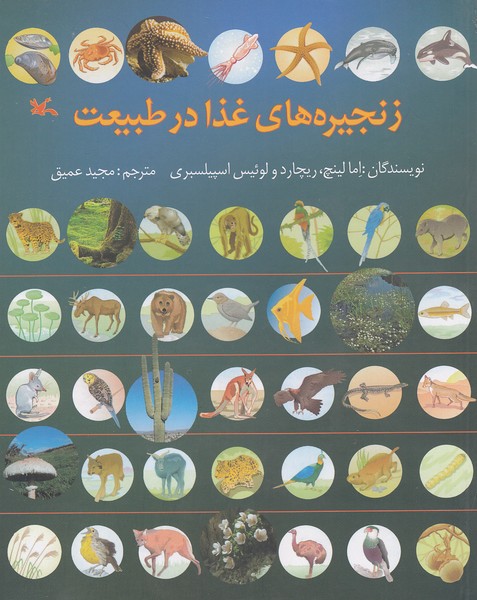 زنجیره-های-غذا-در-طبیعت-(کانون-پرورش-فکری)-وزیری-شومیز