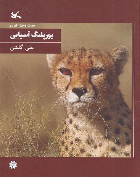 حیات-وحش-ایران---یوزپلنگ-آسیایی-(کانون-پرورش-فکری)-وزیری-شومیز