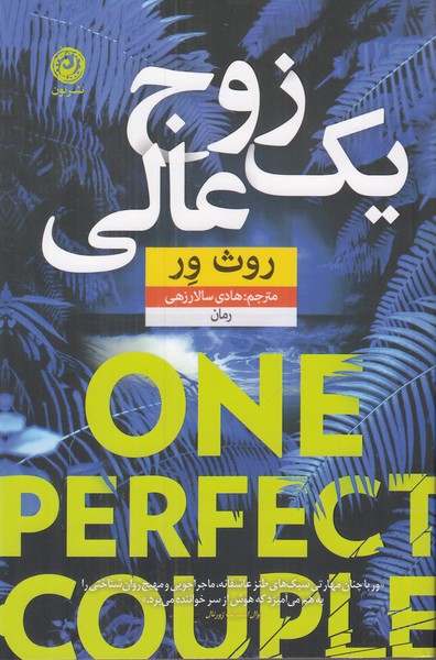 یک زوج عالی
