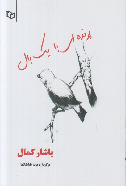 پرنده ای با یک بال داستان ترکی شومیز