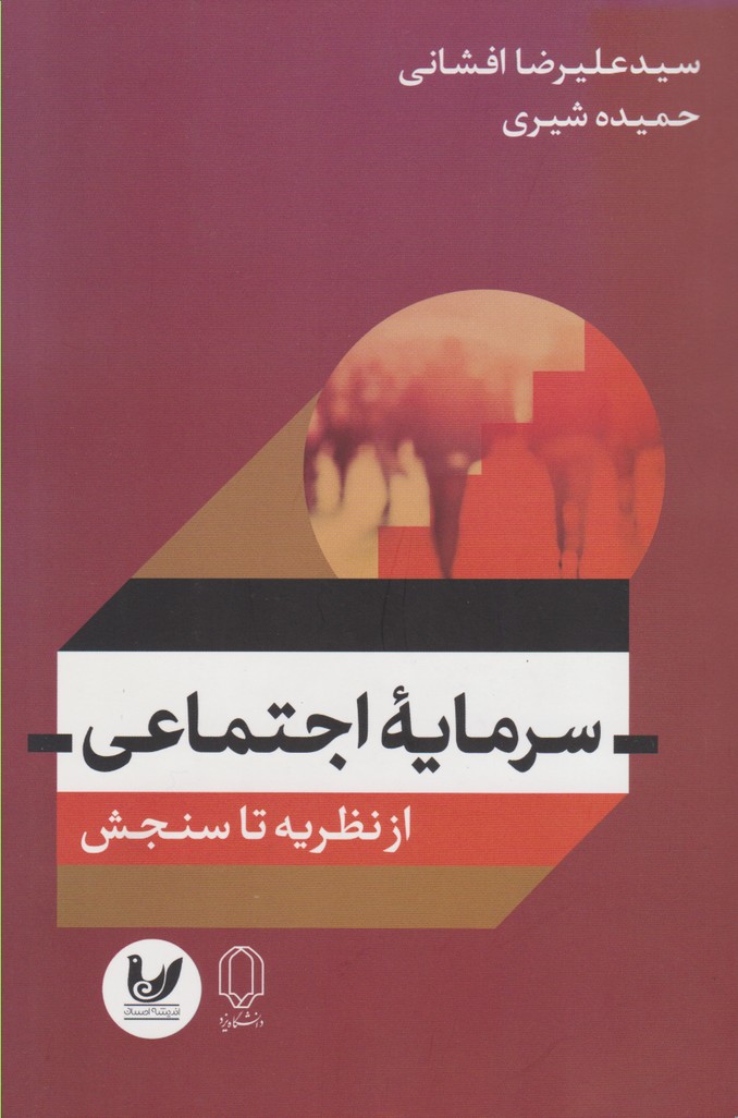 سرمایه اجتماعی 