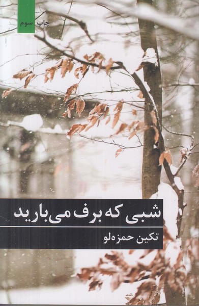 شبی که برف می بارید