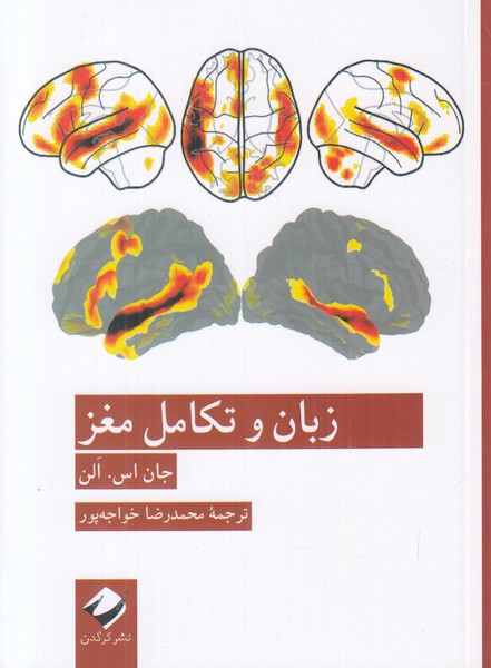 زبان و تکامل مغز