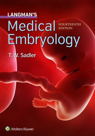 medical-embryology-(14th-edition)-(رحلي)