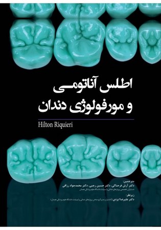 آناتومی و مورفولوژی دندان 2019