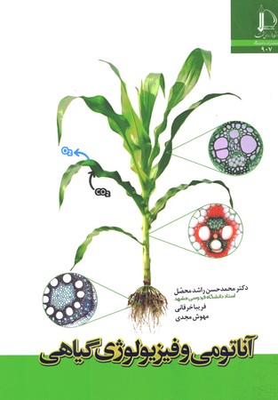 آناتومی و فیزیولوژی گیاهی 