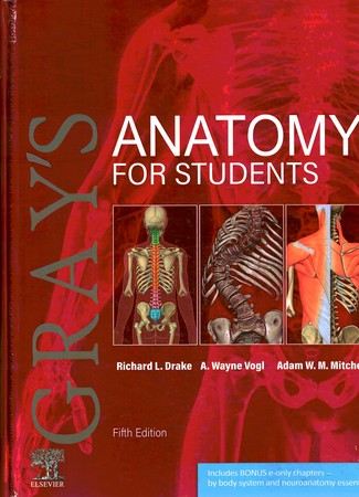 ANATOMY FOR STUDENTS GRAYS 2024