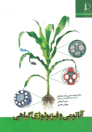 آناتومی و فیزیولوژی گیاهی