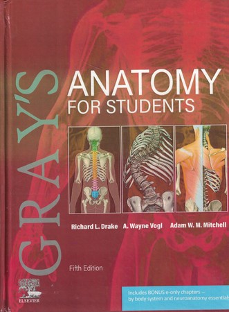 ANATOMY FOR STUDENTS GRAYS 2020