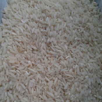 برنج سرلاشه طارم اعلا درجه1فریدون کنار