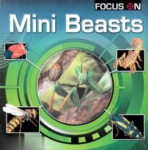 Focus on Mini Beasts