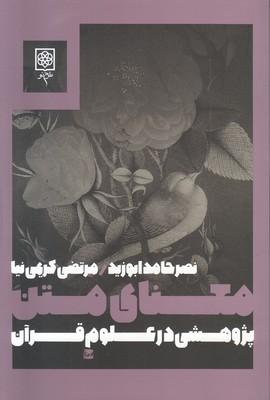 معنای متن
