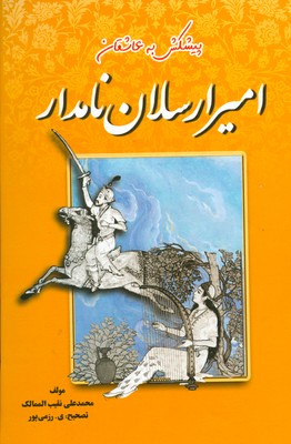 امیر ارسلان نامدار