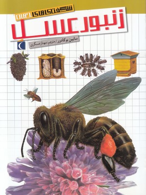 زنبور عسل(شگفتی های جهان)