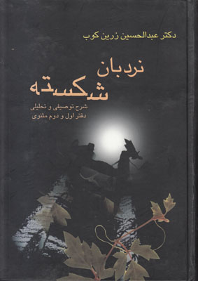 نردبان شکسته