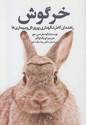 تصویر  خرگوش