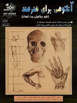 تصویر  آناتومی برای هنرمند فرم دینامیکی بدن انسان