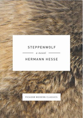 تصویر  steppenwolf ( گرگ بیابان )