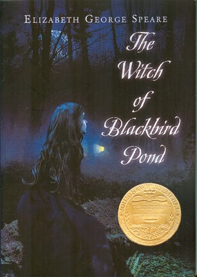 تصویر  the witch of blackbird pond( همدم ساحره )