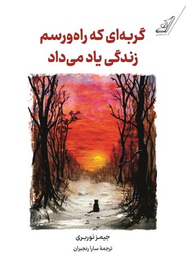 تصویر  گربه ای که راه و رسم زندگی یاد می داد