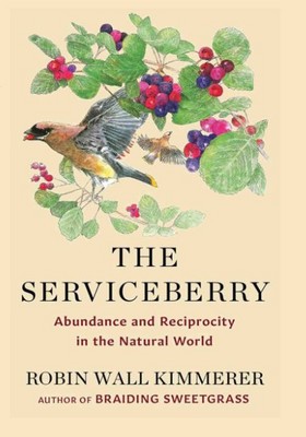 The Serviceberry ( بلوبری بنفش ) The Serviceberry ( بلوبری بنفش )