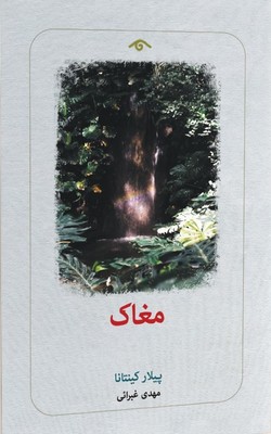 تصویر  مغاک