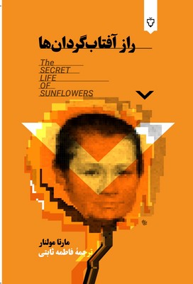 راز آفتاب گردان ها 