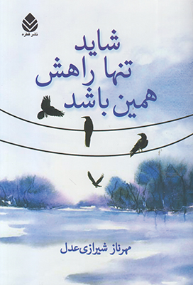 تصویر  شاید تنها راهش همین باشد