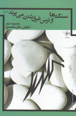 تصویر  سنگ ها از ترس غرق شدن می پرند