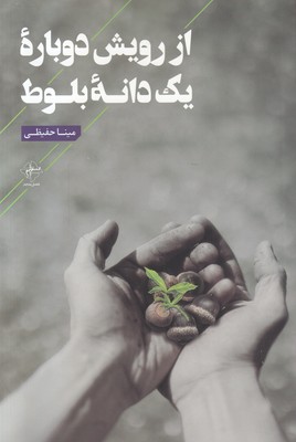 تصویر  از رویش دوباره یک دانه بلوط