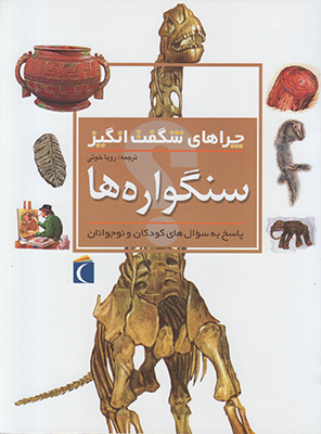 چراهای شگفت انگیز سنگواره ها چراهای شگفت انگیز سنگواره ها