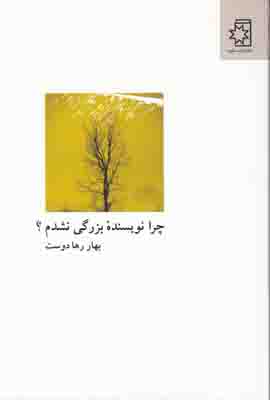 چرا نویسنده بزرگی نشدم چرا نویسنده بزرگی نشدم