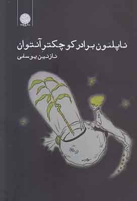 تصویر  ناپلئون برادر کوچکتر آنتوان