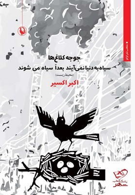 جوجه کلاغ ها سیاه به دنیا نمی آیند جوجه کلاغ ها سیاه به دنیا نمی آیند