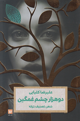 تصویر  دو هزار چشم غمگین