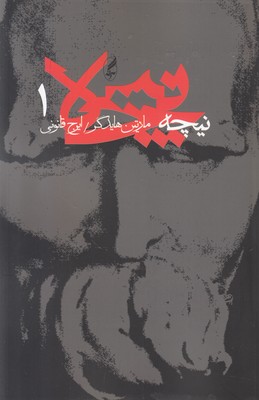 تصویر  نیچه 1