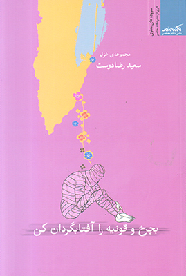 تصویر  بچرخ و قونیه را آفتابگردان کن