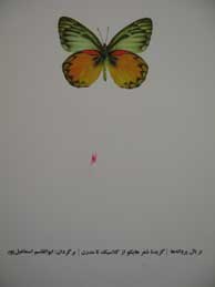 تصویر  بربال پروانه‌ها" گزیده شعر هایکو از کلاسیک تا مدرن"
