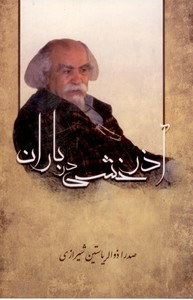 آذرخشی در باران