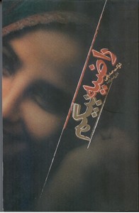 راضیه بیگم