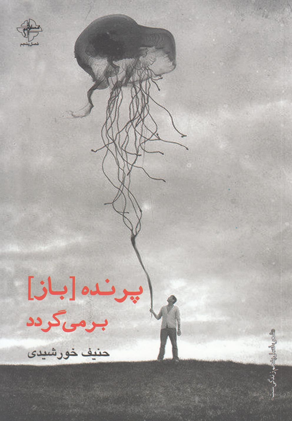 پرنده (باز) برمی‌گردد