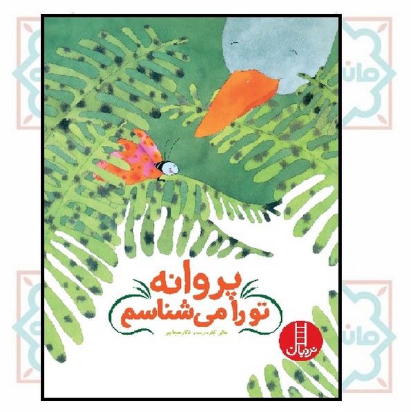 پروانه تو را می شناسم