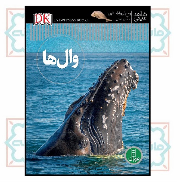 شاهد عینی/ وال ها