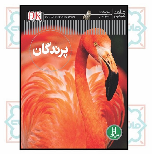 شاهد عینی/ پرندگان