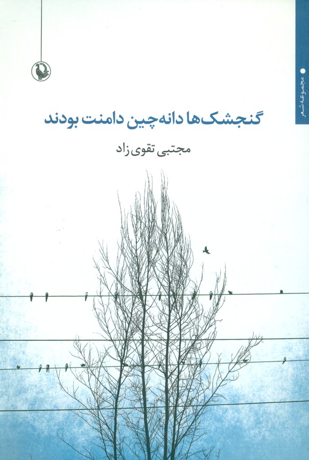 گنجشک ها دانه چین دامنت بودند