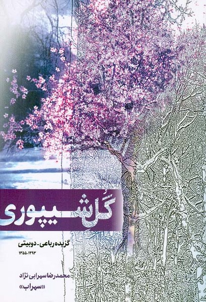گل شیپوری 