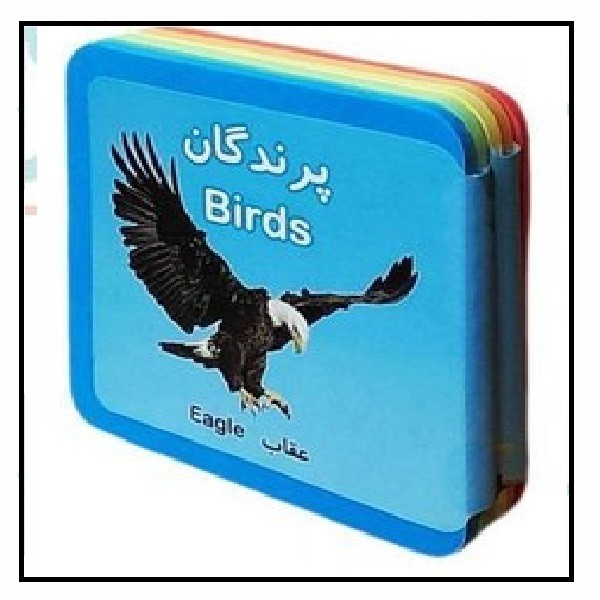 کتاب فومی آکاردئونی - پرندگان