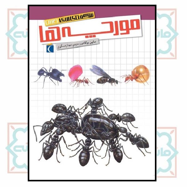 شگفتی های جهان          ( مورچه ها )